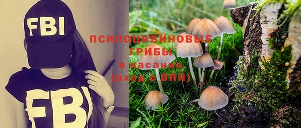 мяу мяу мука Абдулино