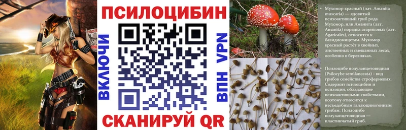 Галлюциногенные грибы Magic Shrooms  где продают   blacksprut зеркало  Кингисепп 