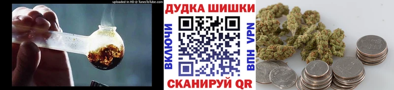 Конопля гибрид  KRAKEN маркетплейс  Кингисепп 